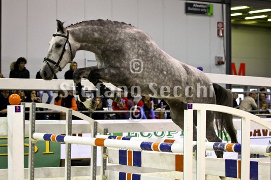 DUECENTO CAREZZE_MILANO_2010_SS3_1429.jpg